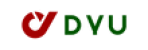 DYU Ebike