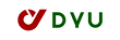 DYU Ebike