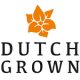Dutch Grown