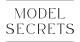 Model Secrets